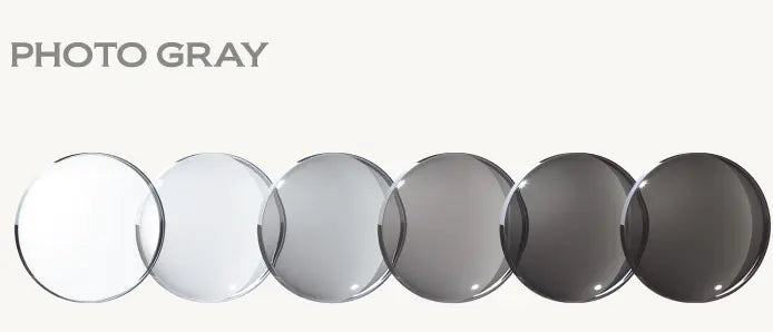 【Web限定】Sierra (Inner Acetate)【調光レンズ】