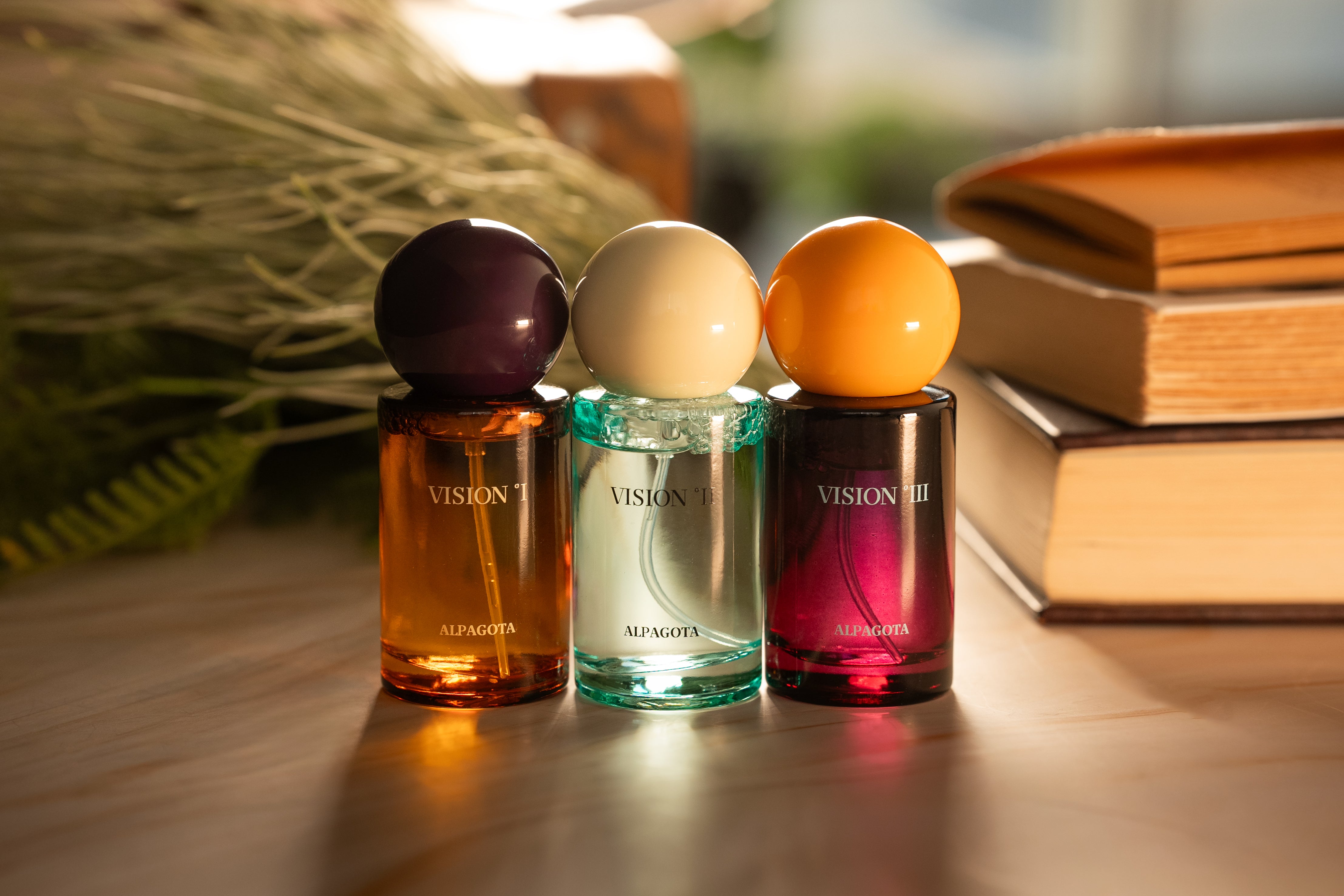 Vision III【ALPAGOTA】